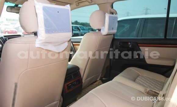 Acheter Import Voiture Toyota Land Cruiser Blanc à Import - Dubai, Adrar Acheter Import Voiture Toyota Land Cruiser Blanc à Import - Dubai, Adrar