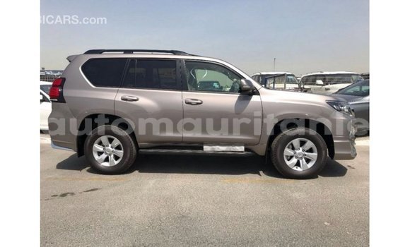 Acheter Import Voiture Toyota Prado Marron à Import - Dubai, Adrar Acheter Import Voiture Toyota Prado Marron à Import - Dubai, Adrar
