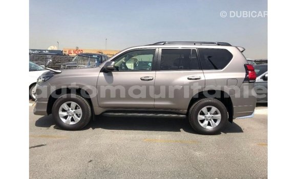 Acheter Import Voiture Toyota Prado Marron à Import - Dubai, Adrar Acheter Import Voiture Toyota Prado Marron à Import - Dubai, Adrar