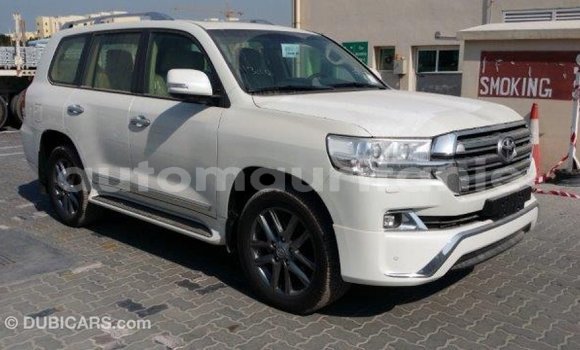 Buy Import Toyota Land Cruiser White Car in Import - Dubai in Adrar Buy Import Toyota Land Cruiser White Car in Import - Dubai in Adrar