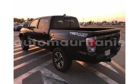 Buy Import Toyota Tacoma Black Car in Import - Dubai in Adrar Buy Import Toyota Tacoma Black Car in Import - Dubai in Adrar