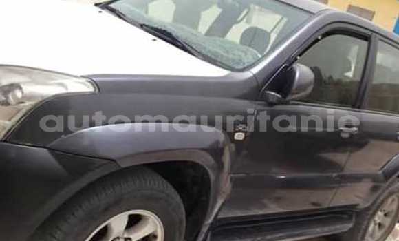 Acheter Occasion Voiture Toyota Prado Noir à Nouakchott, Nouakchott Ouest Acheter Occasion Voiture Toyota Prado Noir à Nouakchott, Nouakchott Ouest