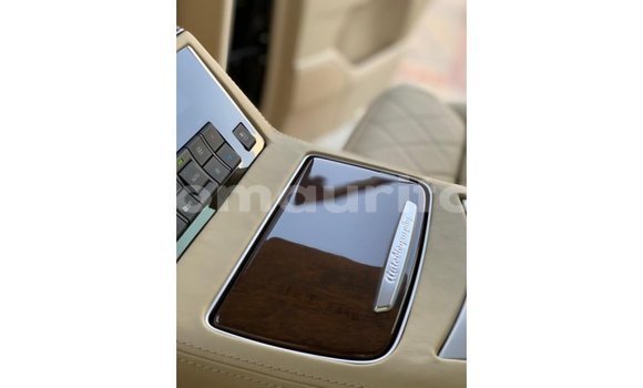 Buy Import Lexus LX Beige Car in Import - Dubai in Adrar Buy Import Lexus LX Beige Car in Import - Dubai in Adrar