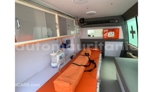 Buy Import Toyota Land Cruiser Beige Car in Import - Dubai in Adrar Buy Import Toyota Land Cruiser Beige Car in Import - Dubai in Adrar