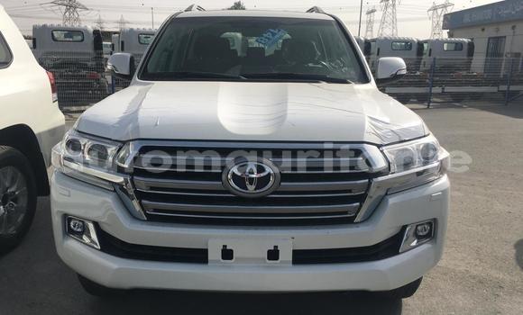 Acheter Occasion Voiture Toyota Land Cruiser Blanc à Hamoud, Assaba Acheter Occasion Voiture Toyota Land Cruiser Blanc à Hamoud, Assaba