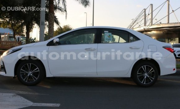 Buy Import Toyota Corolla White Car in Import - Dubai in Adrar Buy Import Toyota Corolla White Car in Import - Dubai in Adrar