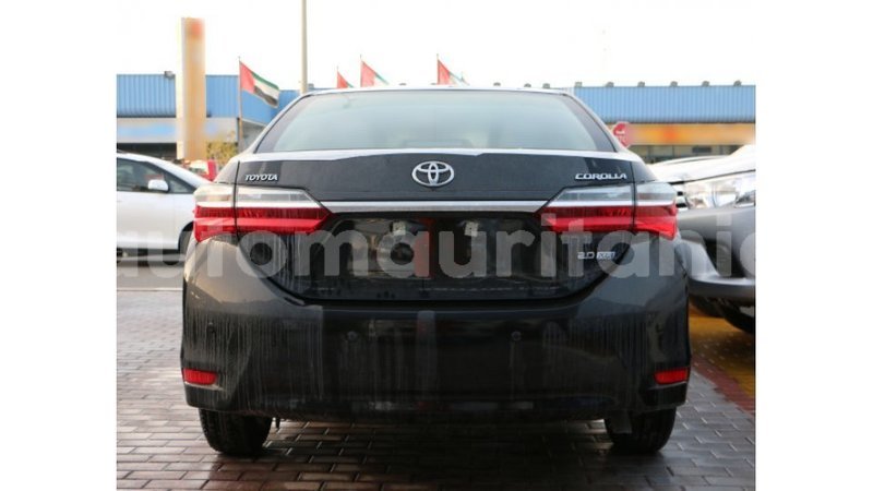 Big with watermark d5192413 e1d7 4192 9dad b79292c8d41f