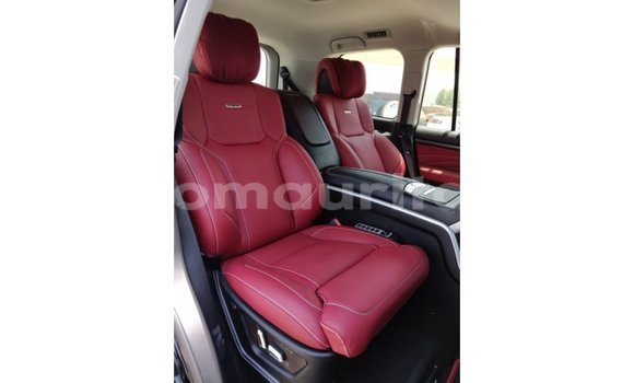 Buy Import Toyota Land Cruiser Black Car in Import - Dubai in Adrar Buy Import Toyota Land Cruiser Black Car in Import - Dubai in Adrar