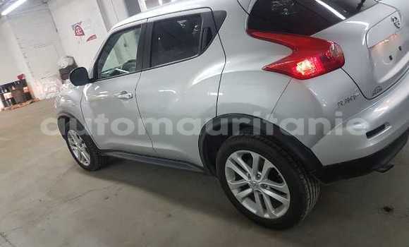 Acheter Occasion Voiture Nissan Juke Gris à Nouakchott, Nouakchott Ouest