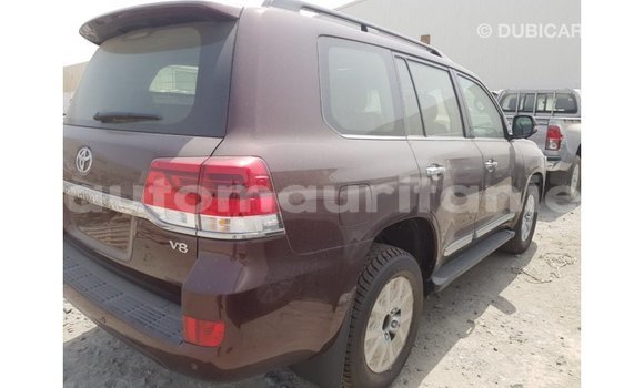 Acheter Import Voiture Toyota Land Cruiser Marron à Import - Dubai, Adrar Acheter Import Voiture Toyota Land Cruiser Marron à Import - Dubai, Adrar