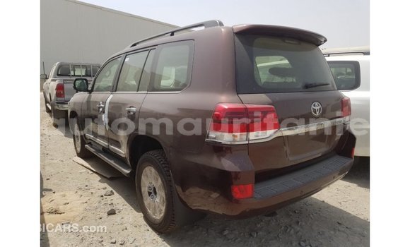 Acheter Import Voiture Toyota Land Cruiser Marron à Import - Dubai, Adrar Acheter Import Voiture Toyota Land Cruiser Marron à Import - Dubai, Adrar