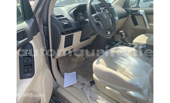 Acheter Import Voiture Toyota Prado Marron à Import - Dubai, Adrar Acheter Import Voiture Toyota Prado Marron à Import - Dubai, Adrar