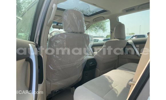 Acheter Import Voiture Toyota Prado Marron à Import - Dubai, Adrar Acheter Import Voiture Toyota Prado Marron à Import - Dubai, Adrar
