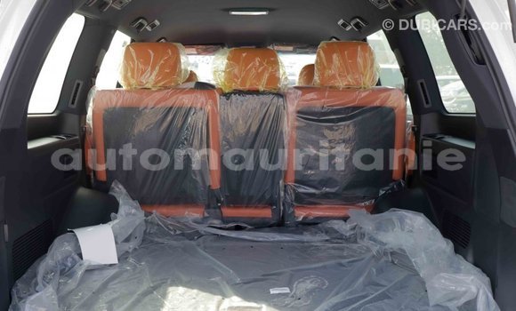 Buy Import Lexus LX White Car in Import - Dubai in Adrar Buy Import Lexus LX White Car in Import - Dubai in Adrar