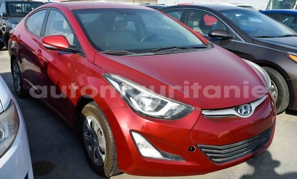 Acheter Import Voiture Hyundai Elantra Rouge à Import - Dubai, Adrar Acheter Import Voiture Hyundai Elantra Rouge à Import - Dubai, Adrar