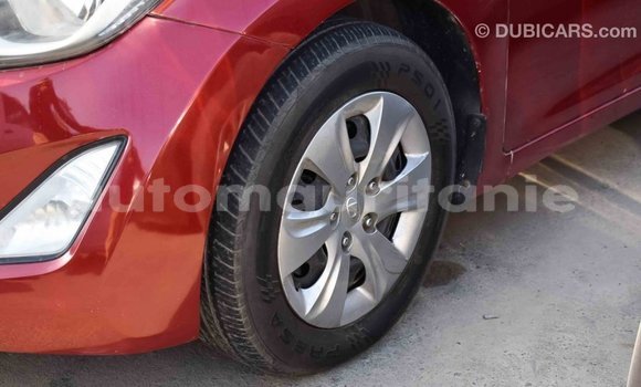 Acheter Import Voiture Hyundai Elantra Rouge à Import - Dubai, Adrar Acheter Import Voiture Hyundai Elantra Rouge à Import - Dubai, Adrar