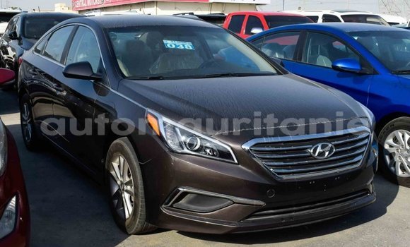 Acheter Import Voiture Hyundai Sonata Marron à Import - Dubai, Adrar Acheter Import Voiture Hyundai Sonata Marron à Import - Dubai, Adrar