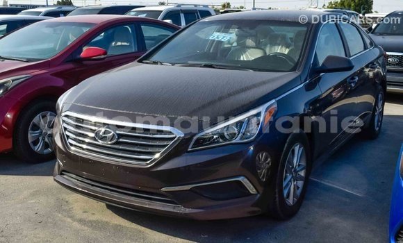 Acheter Import Voiture Hyundai Sonata Marron à Import - Dubai, Adrar Acheter Import Voiture Hyundai Sonata Marron à Import - Dubai, Adrar