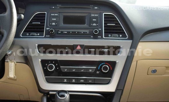 Acheter Import Voiture Hyundai Sonata Marron à Import - Dubai, Adrar Acheter Import Voiture Hyundai Sonata Marron à Import - Dubai, Adrar