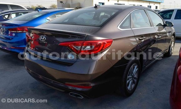 Acheter Import Voiture Hyundai Sonata Marron à Import - Dubai, Adrar Acheter Import Voiture Hyundai Sonata Marron à Import - Dubai, Adrar