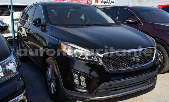 Acheter Import Voiture Kia Sorento Noir à Import - Dubai, Adrar Acheter Import Voiture Kia Sorento Noir à Import - Dubai, Adrar