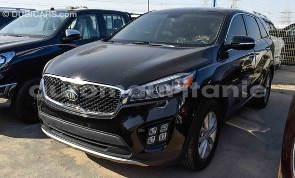 Acheter Import Voiture Kia Sorento Noir à Import - Dubai, Adrar Acheter Import Voiture Kia Sorento Noir à Import - Dubai, Adrar