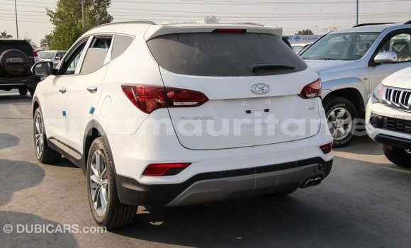 Acheter Import Voiture Hyundai Santa Fe Blanc à Import - Dubai, Adrar Acheter Import Voiture Hyundai Santa Fe Blanc à Import - Dubai, Adrar