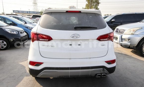 Acheter Import Voiture Hyundai Santa Fe Blanc à Import - Dubai, Adrar Acheter Import Voiture Hyundai Santa Fe Blanc à Import - Dubai, Adrar