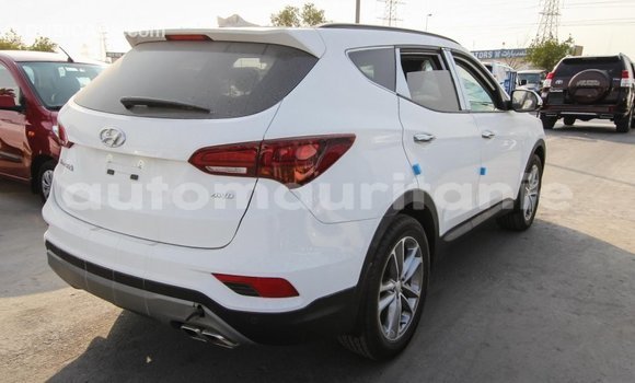 Acheter Import Voiture Hyundai Santa Fe Blanc à Import - Dubai, Adrar Acheter Import Voiture Hyundai Santa Fe Blanc à Import - Dubai, Adrar