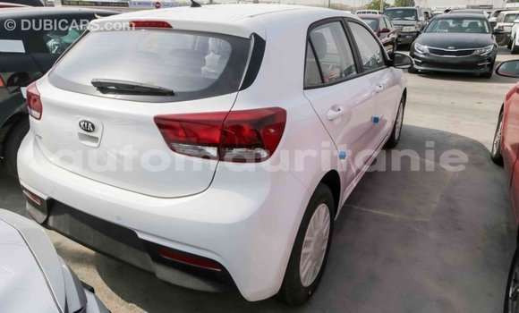 Acheter Import Voiture Kia Rio Blanc à Import - Dubai, Adrar Acheter Import Voiture Kia Rio Blanc à Import - Dubai, Adrar