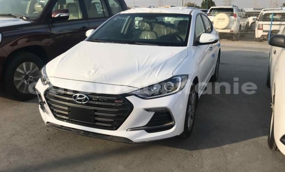Acheter Import Voiture Hyundai Elantra Blanc à Import - Dubai, Adrar Acheter Import Voiture Hyundai Elantra Blanc à Import - Dubai, Adrar