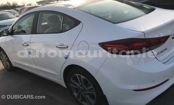 Acheter Import Voiture Hyundai Elantra Blanc à Import - Dubai, Adrar Acheter Import Voiture Hyundai Elantra Blanc à Import - Dubai, Adrar