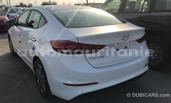 Acheter Import Voiture Hyundai Elantra Blanc à Import - Dubai, Adrar Acheter Import Voiture Hyundai Elantra Blanc à Import - Dubai, Adrar