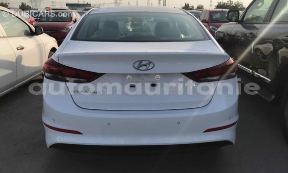 Acheter Import Voiture Hyundai Elantra Blanc à Import - Dubai, Adrar Acheter Import Voiture Hyundai Elantra Blanc à Import - Dubai, Adrar