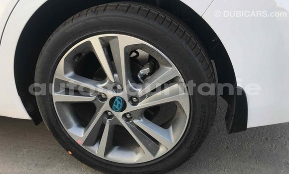 Acheter Import Voiture Hyundai Elantra Blanc à Import - Dubai, Adrar Acheter Import Voiture Hyundai Elantra Blanc à Import - Dubai, Adrar