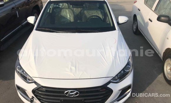 Acheter Import Voiture Hyundai Elantra Blanc à Import - Dubai, Adrar Acheter Import Voiture Hyundai Elantra Blanc à Import - Dubai, Adrar