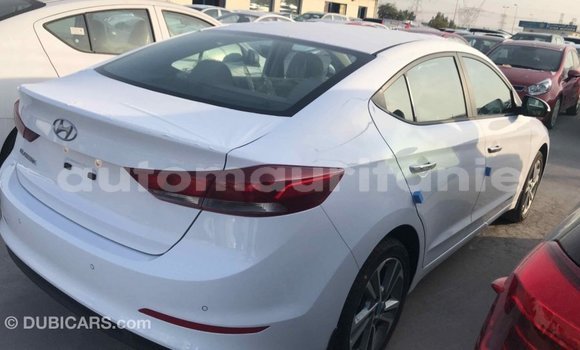 Acheter Import Voiture Hyundai Elantra Blanc à Import - Dubai, Adrar Acheter Import Voiture Hyundai Elantra Blanc à Import - Dubai, Adrar