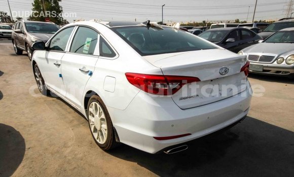 Acheter Import Voiture Hyundai Sonata Blanc à Import - Dubai, Adrar Acheter Import Voiture Hyundai Sonata Blanc à Import - Dubai, Adrar