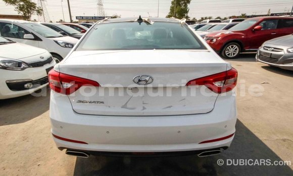 Acheter Import Voiture Hyundai Sonata Blanc à Import - Dubai, Adrar Acheter Import Voiture Hyundai Sonata Blanc à Import - Dubai, Adrar