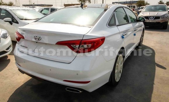 Acheter Import Voiture Hyundai Sonata Blanc à Import - Dubai, Adrar Acheter Import Voiture Hyundai Sonata Blanc à Import - Dubai, Adrar