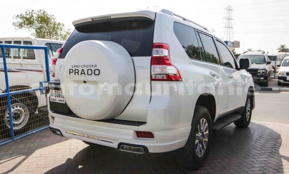 Acheter Import Voiture Toyota Prado Blanc à Import - Dubai, Adrar Acheter Import Voiture Toyota Prado Blanc à Import - Dubai, Adrar