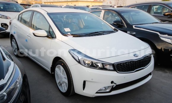 Acheter Import Voiture Kia Cerato Blanc à Import - Dubai, Adrar Acheter Import Voiture Kia Cerato Blanc à Import - Dubai, Adrar