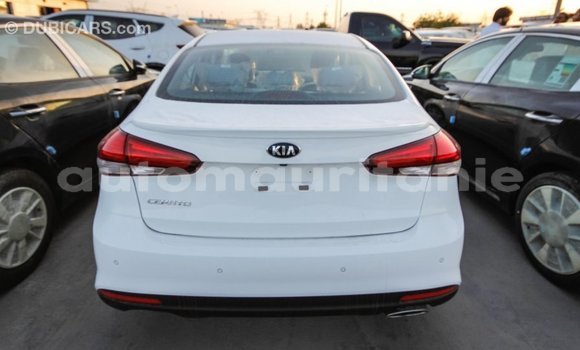 Acheter Import Voiture Kia Cerato Blanc à Import - Dubai, Adrar Acheter Import Voiture Kia Cerato Blanc à Import - Dubai, Adrar