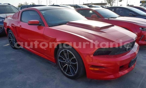 Acheter Import Voiture Ford Mustang Rouge à Import - Dubai, Adrar Acheter Import Voiture Ford Mustang Rouge à Import - Dubai, Adrar
