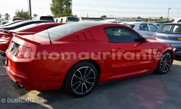 Acheter Import Voiture Ford Mustang Rouge à Import - Dubai, Adrar Acheter Import Voiture Ford Mustang Rouge à Import - Dubai, Adrar