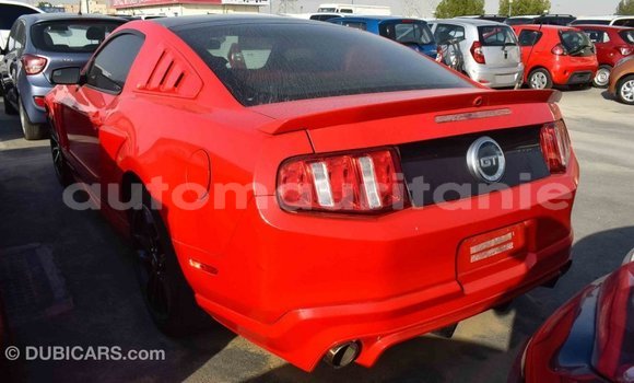 Acheter Import Voiture Ford Mustang Rouge à Import - Dubai, Adrar Acheter Import Voiture Ford Mustang Rouge à Import - Dubai, Adrar