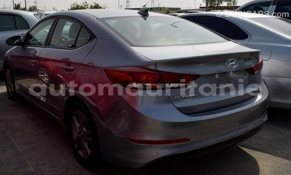 Acheter Import Voiture Hyundai Elantra Autre à Import - Dubai, Adrar Acheter Import Voiture Hyundai Elantra Autre à Import - Dubai, Adrar