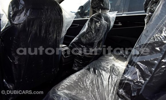 Acheter Import Voiture Kia Sorento Autre à Import - Dubai, Adrar Acheter Import Voiture Kia Sorento Autre à Import - Dubai, Adrar
