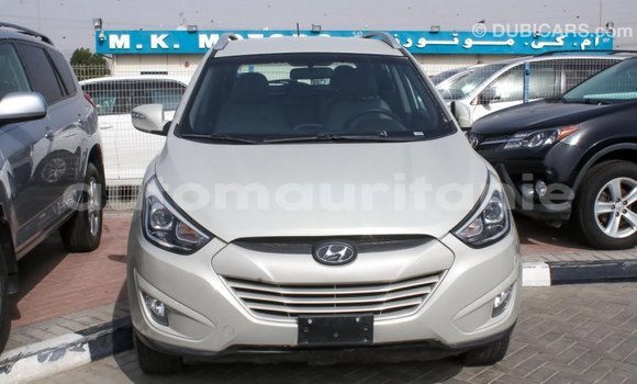 Acheter Import Voiture Hyundai Tucson Beige à Import - Dubai, Adrar Acheter Import Voiture Hyundai Tucson Beige à Import - Dubai, Adrar