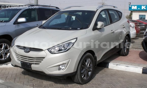 Acheter Import Voiture Hyundai Tucson Beige à Import - Dubai, Adrar Acheter Import Voiture Hyundai Tucson Beige à Import - Dubai, Adrar
